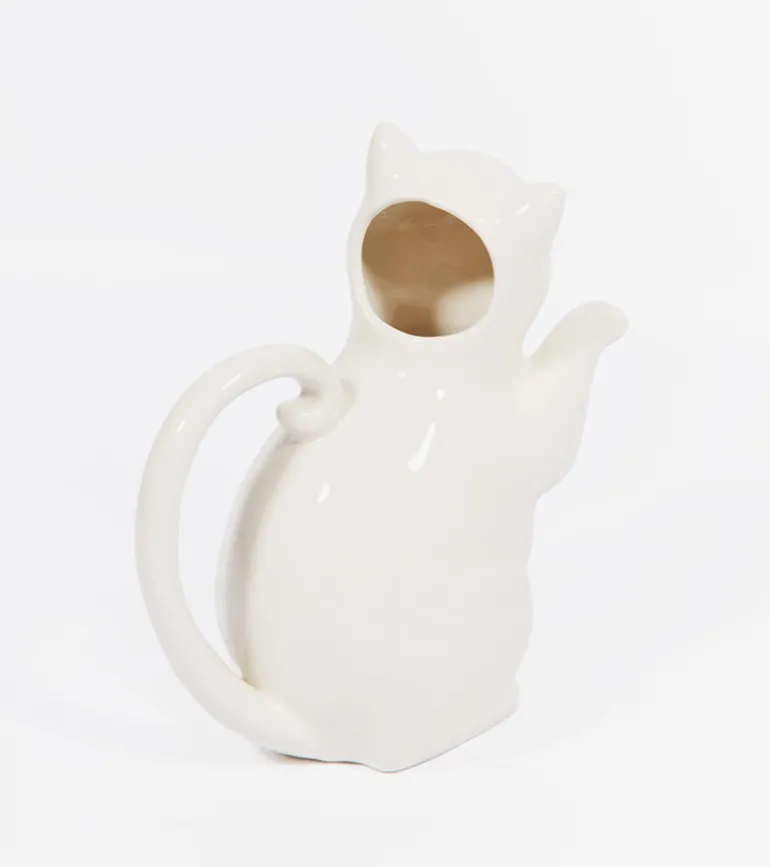 Arrosoir Chat