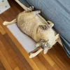 Hamac en bois pour chats