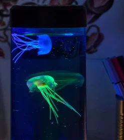 Lampe méduse