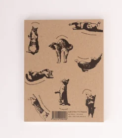 Le Yoga du Chat