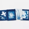 Papier de sunography