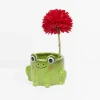 Pot à plante grenouille