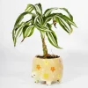 Pot à plantes tortue