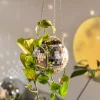Pot de plantes disco boule à facettes