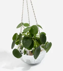 Pot de plantes disco boule à facettes