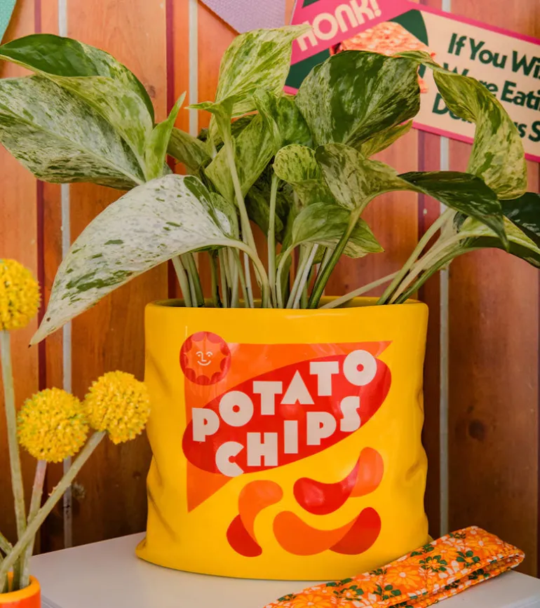 Vase pack de chips
