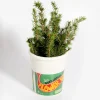 Vase Pot de Nouilles